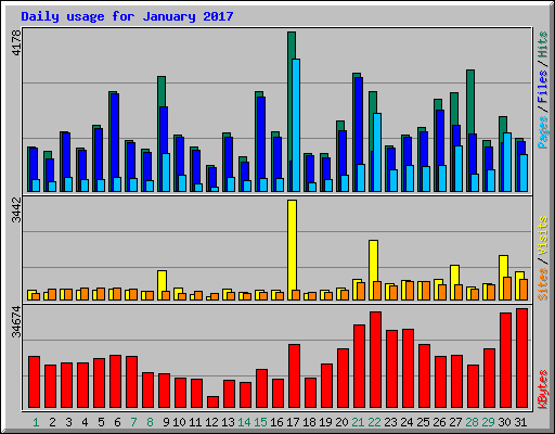 Daily usage for January 2017