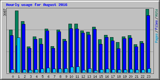 Hourly usage for August 2016