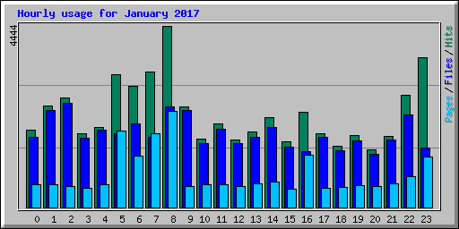 Hourly usage for January 2017