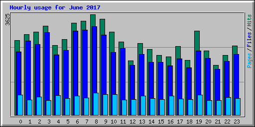 Hourly usage for June 2017